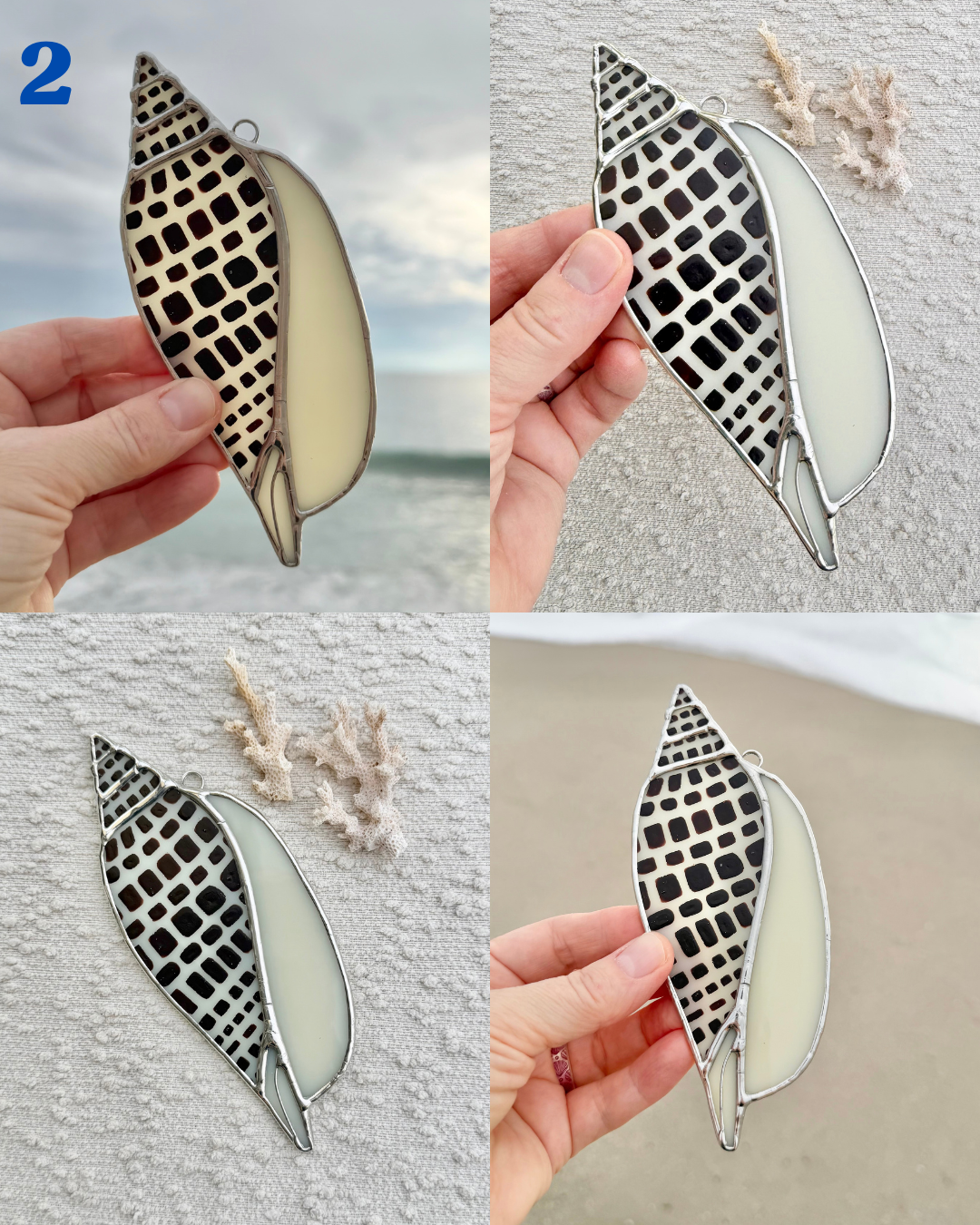 junonia may birth shell(1).png