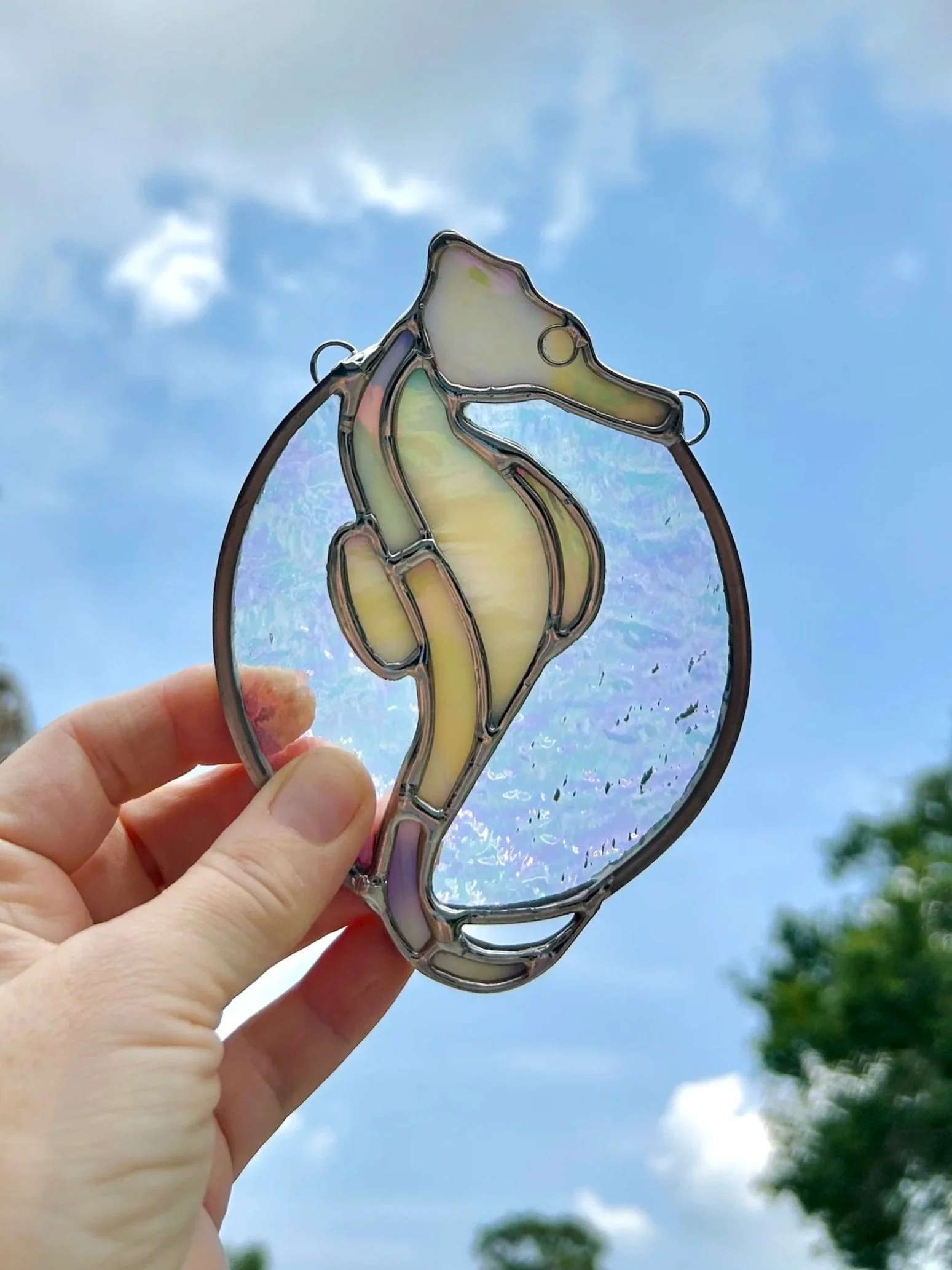 seahorse7.jpg