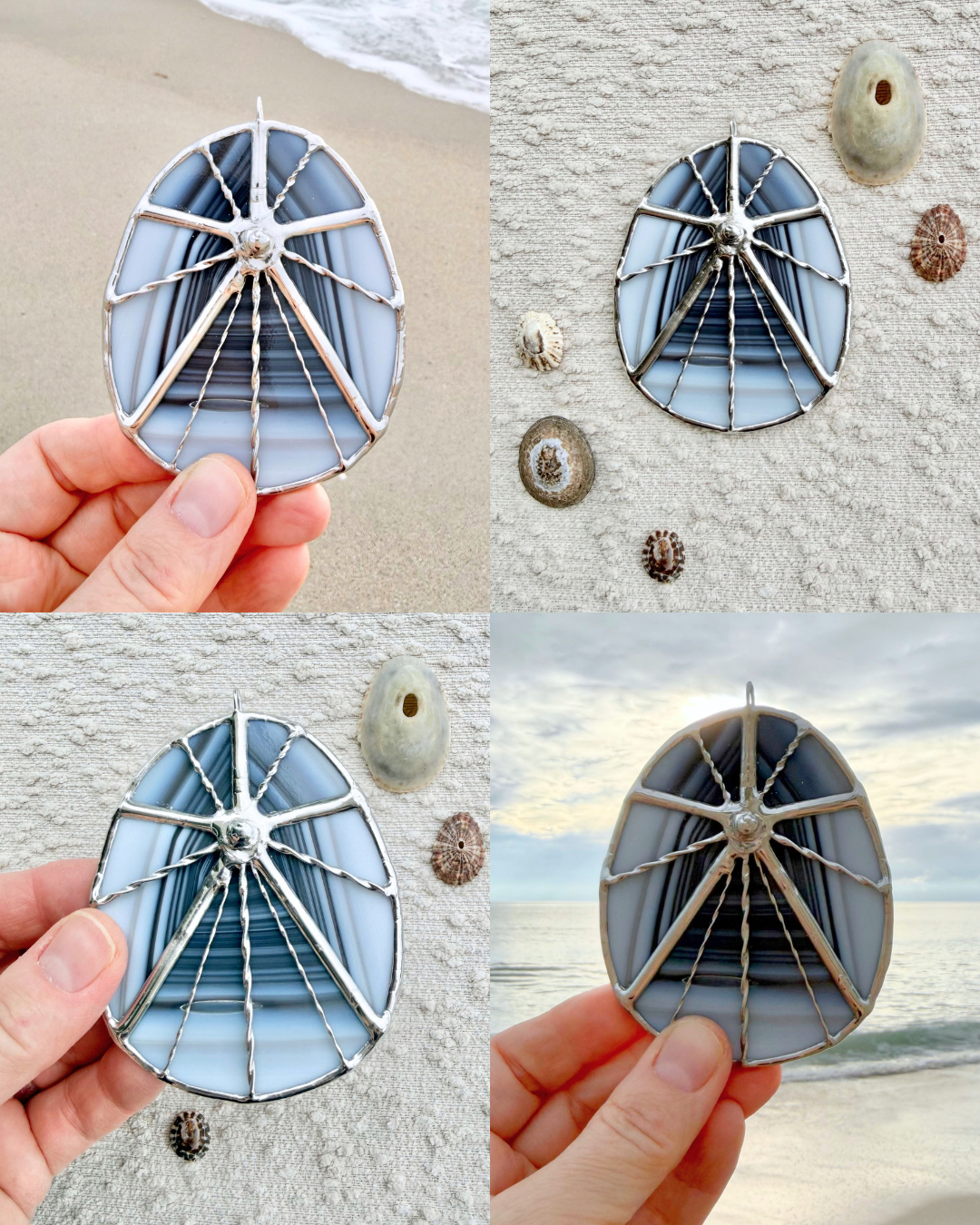 limpet semptember birth shell(1).png