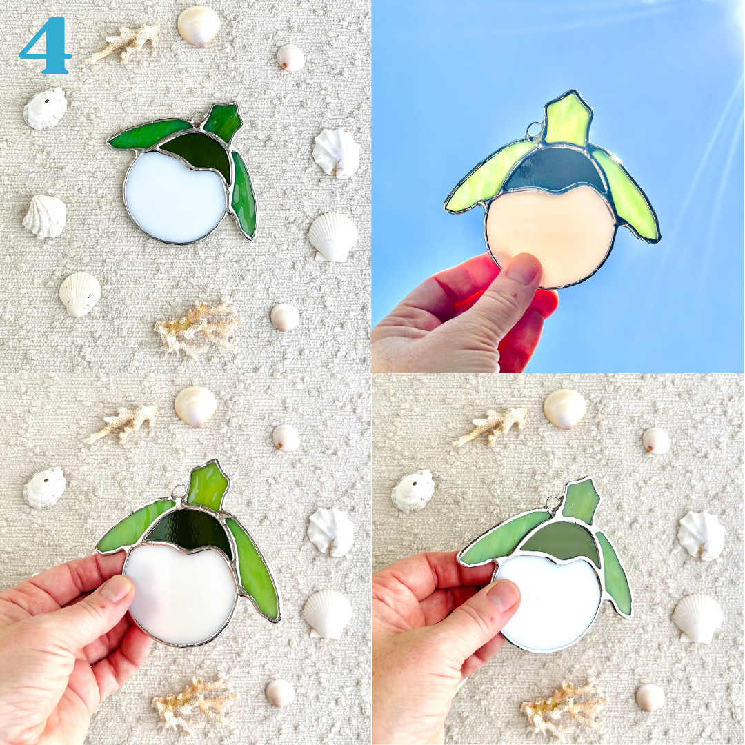 sea turtle hatchling(5).png