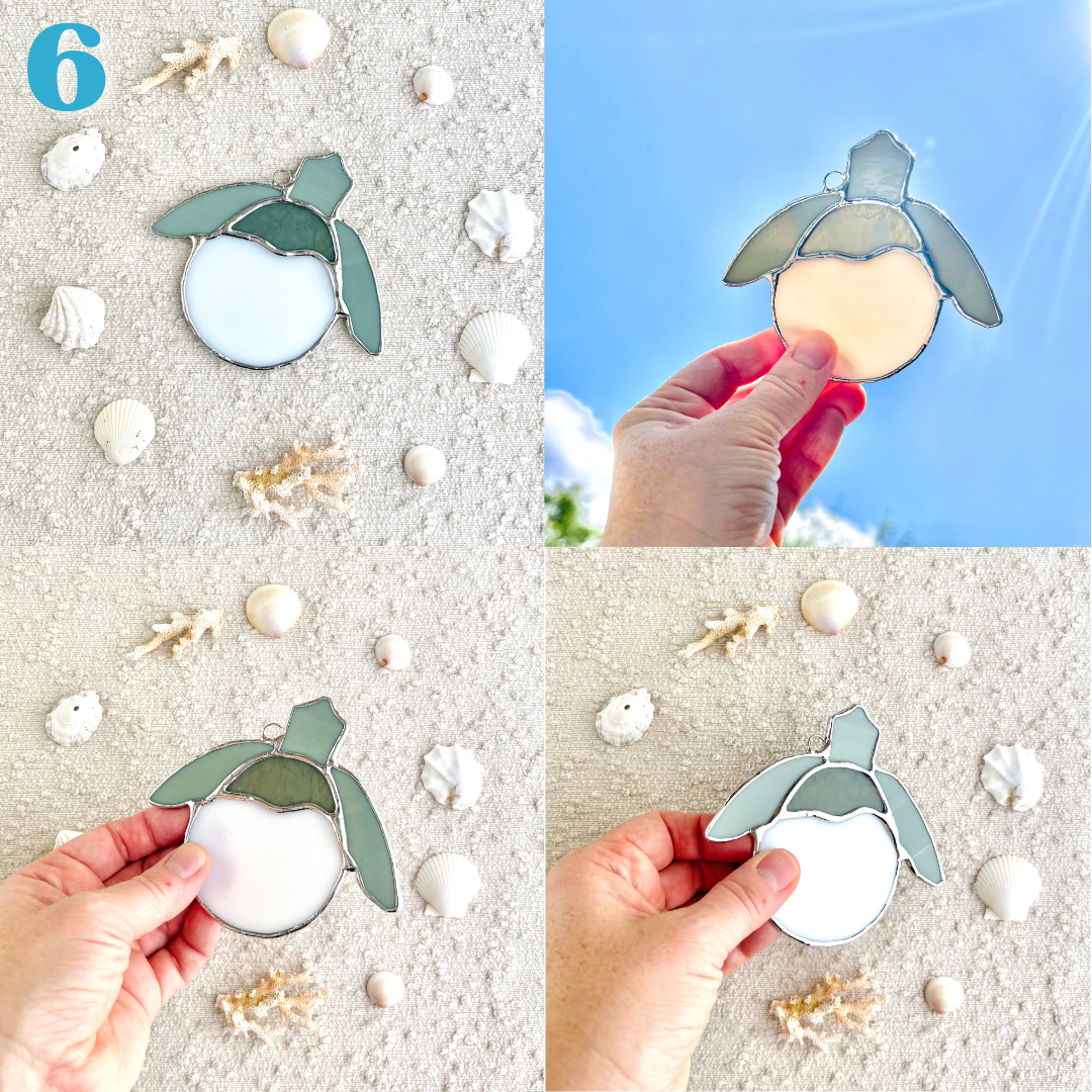 sea turtle hatchling(7).png