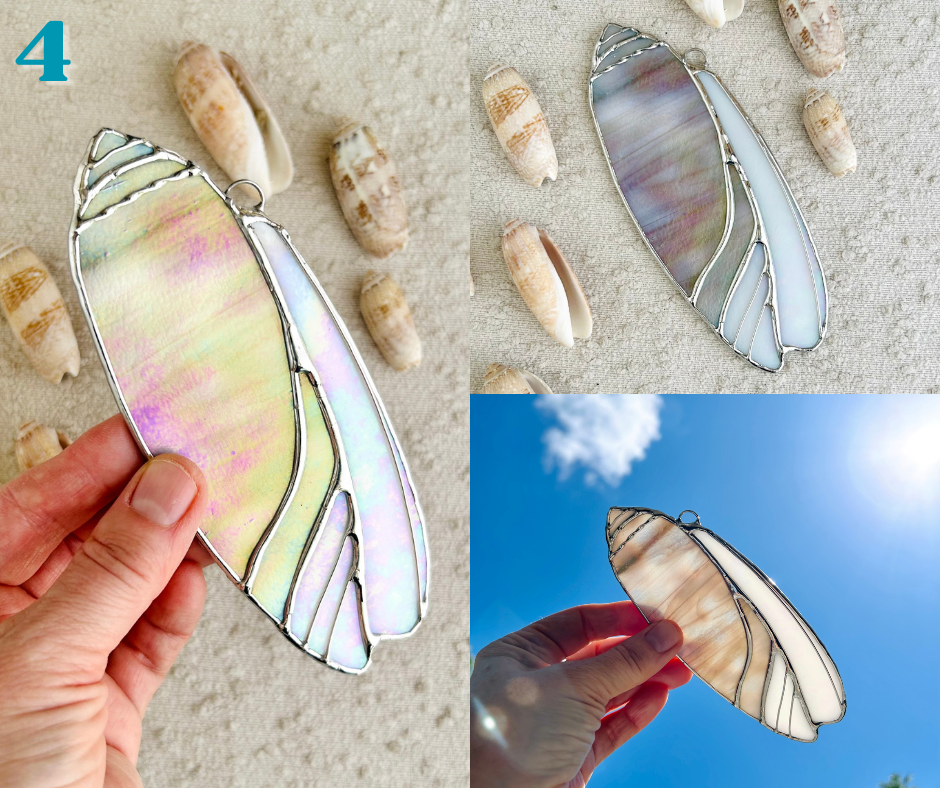 olive shell - march birth shell(4).png