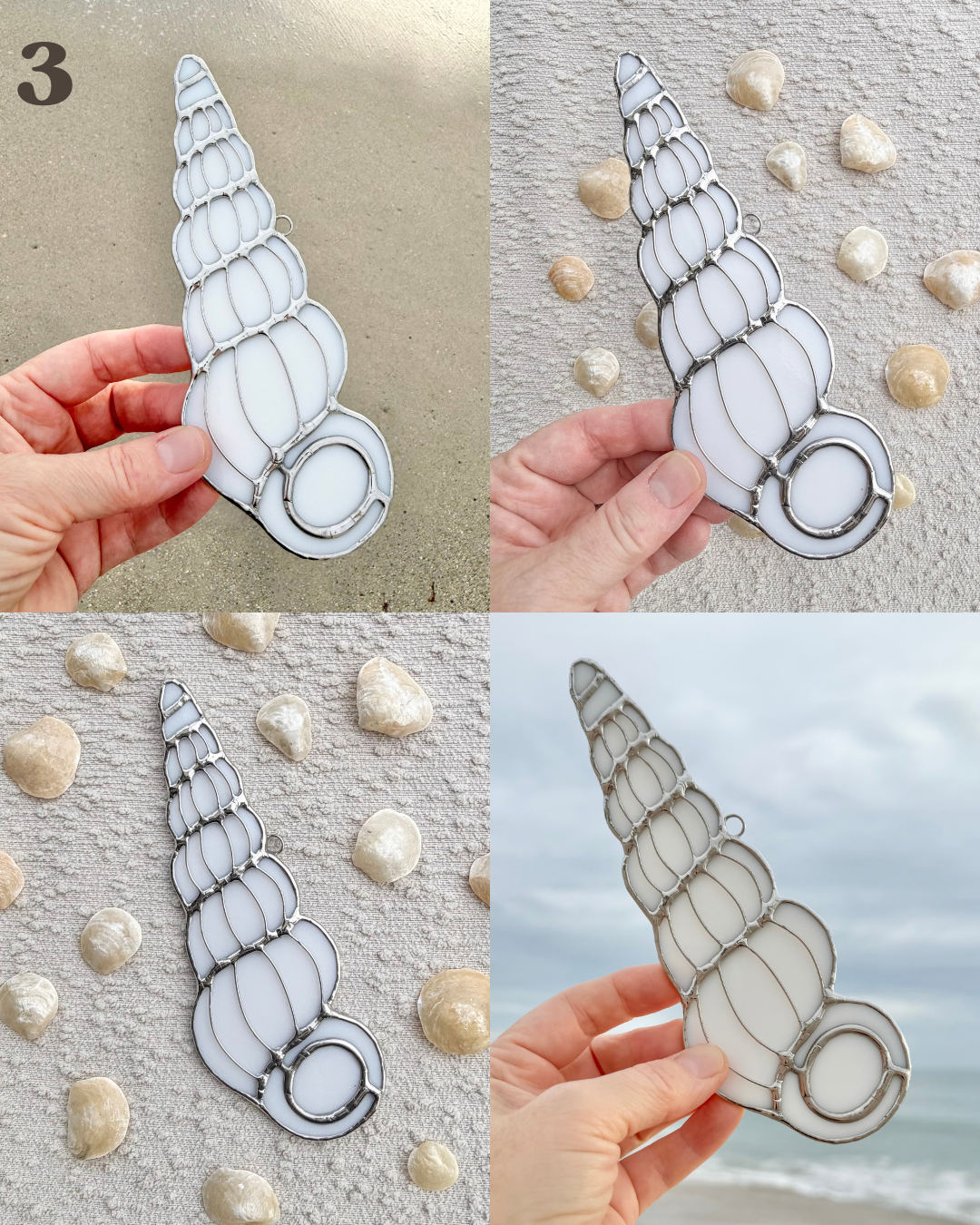 wentletrap april birth shell(3).png