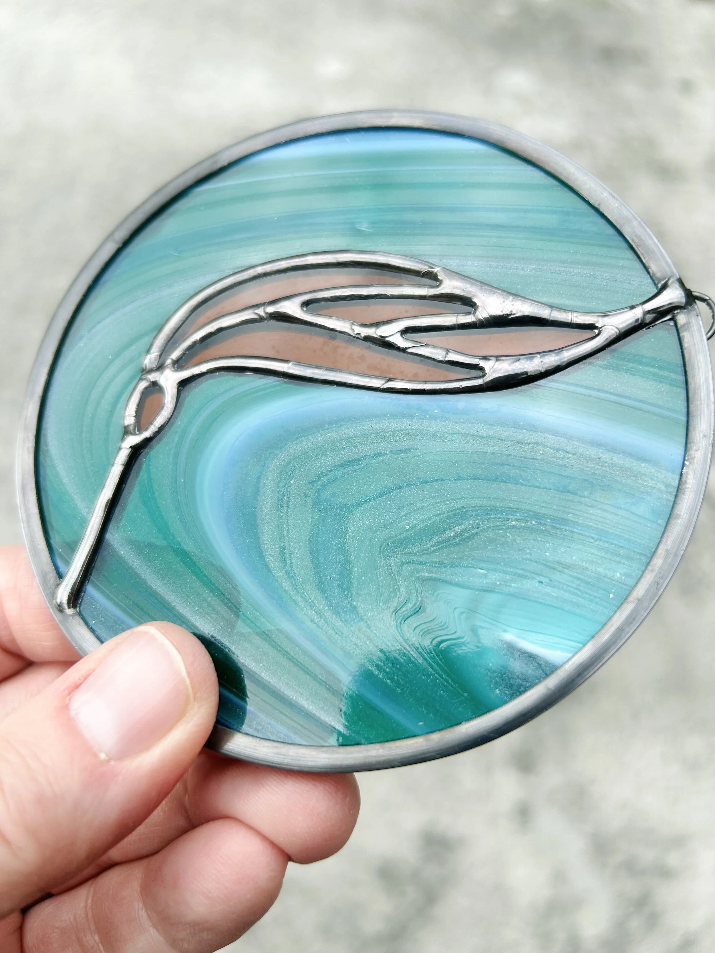 baby bull kelp sun catcher 11.jpeg