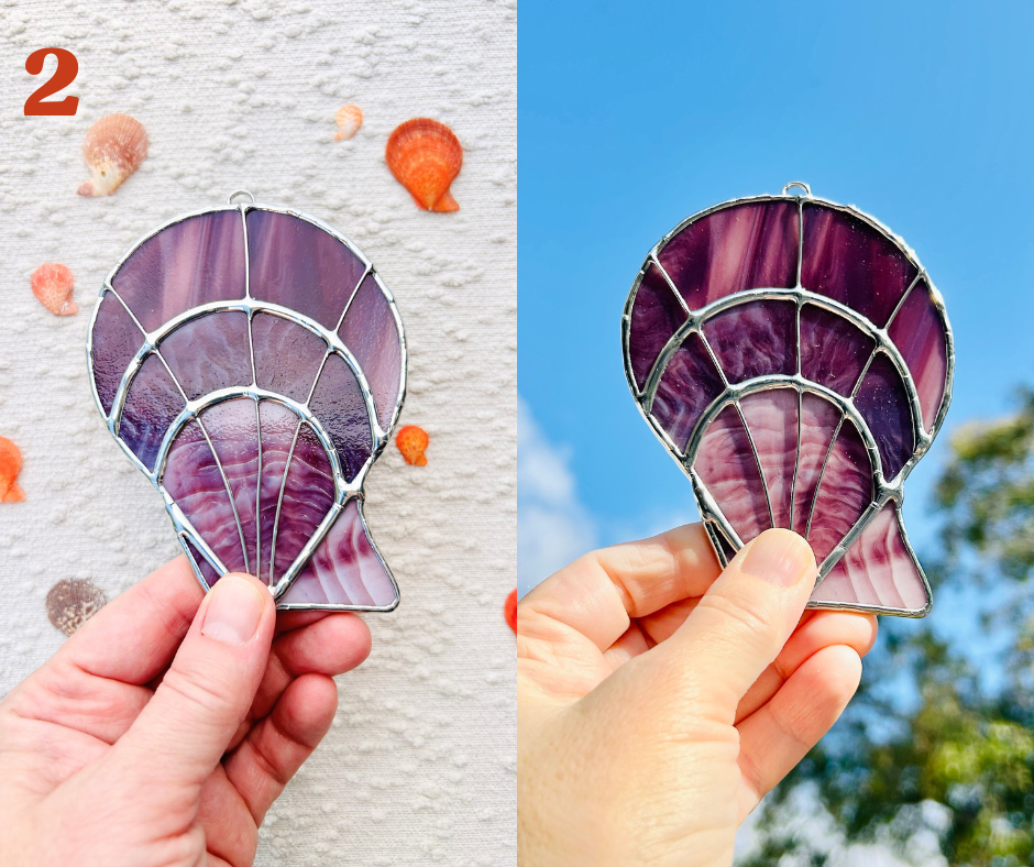 scaly scallop(3).png