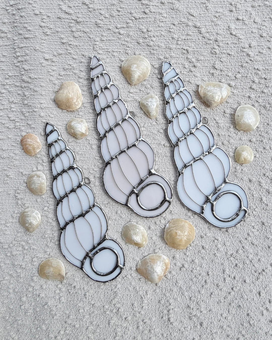 wentletrap april birth shells(1).png