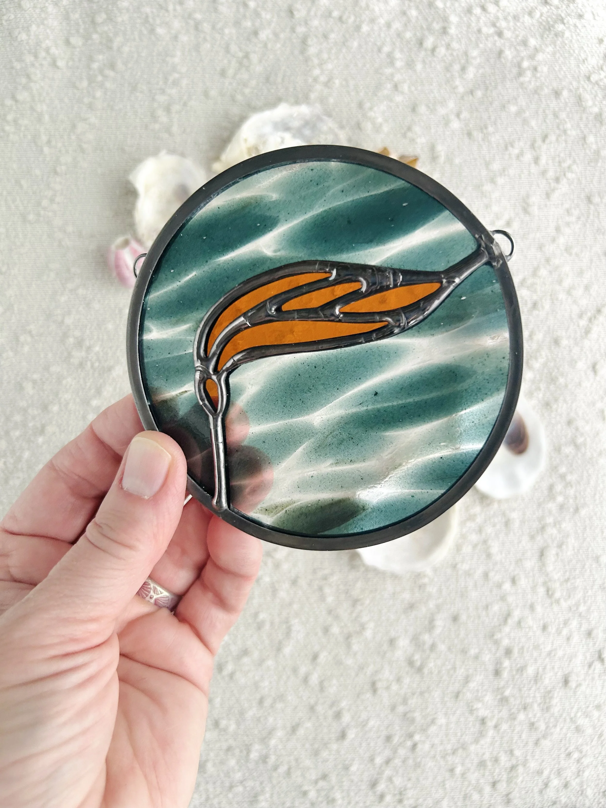 baby kelp // odyssey