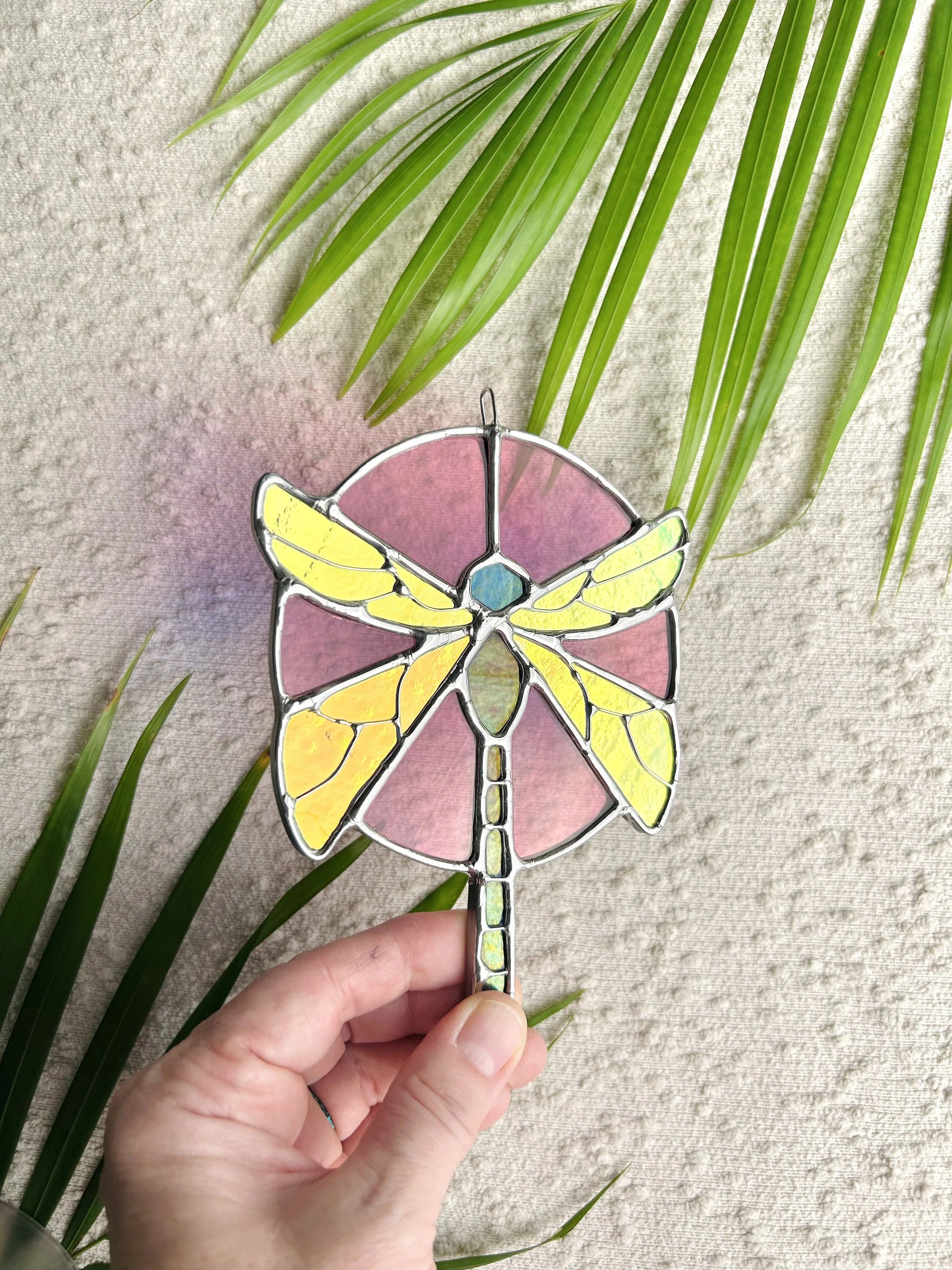 dicrhoic dragonfly2.jpeg