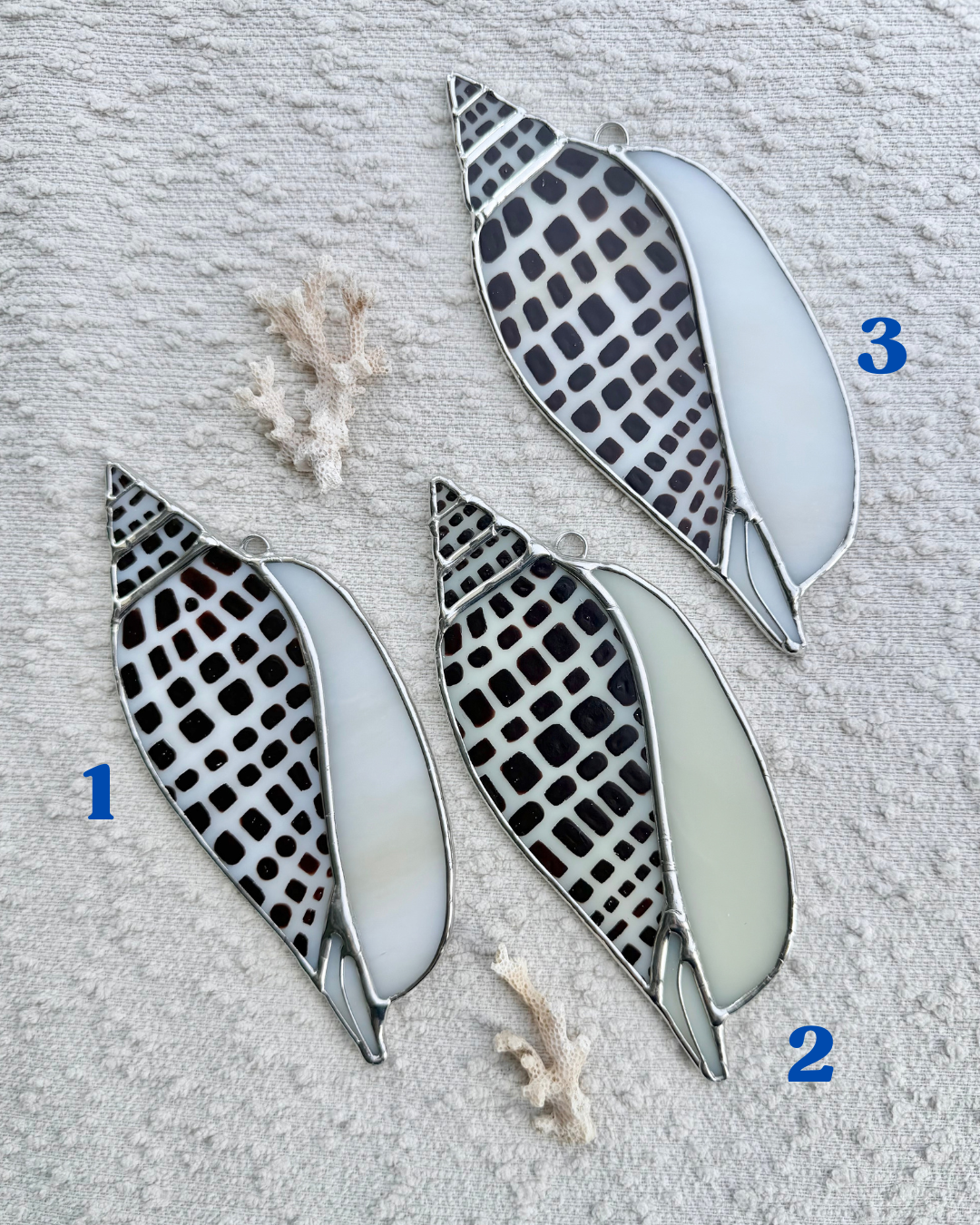 junonia may birth shells(1).png