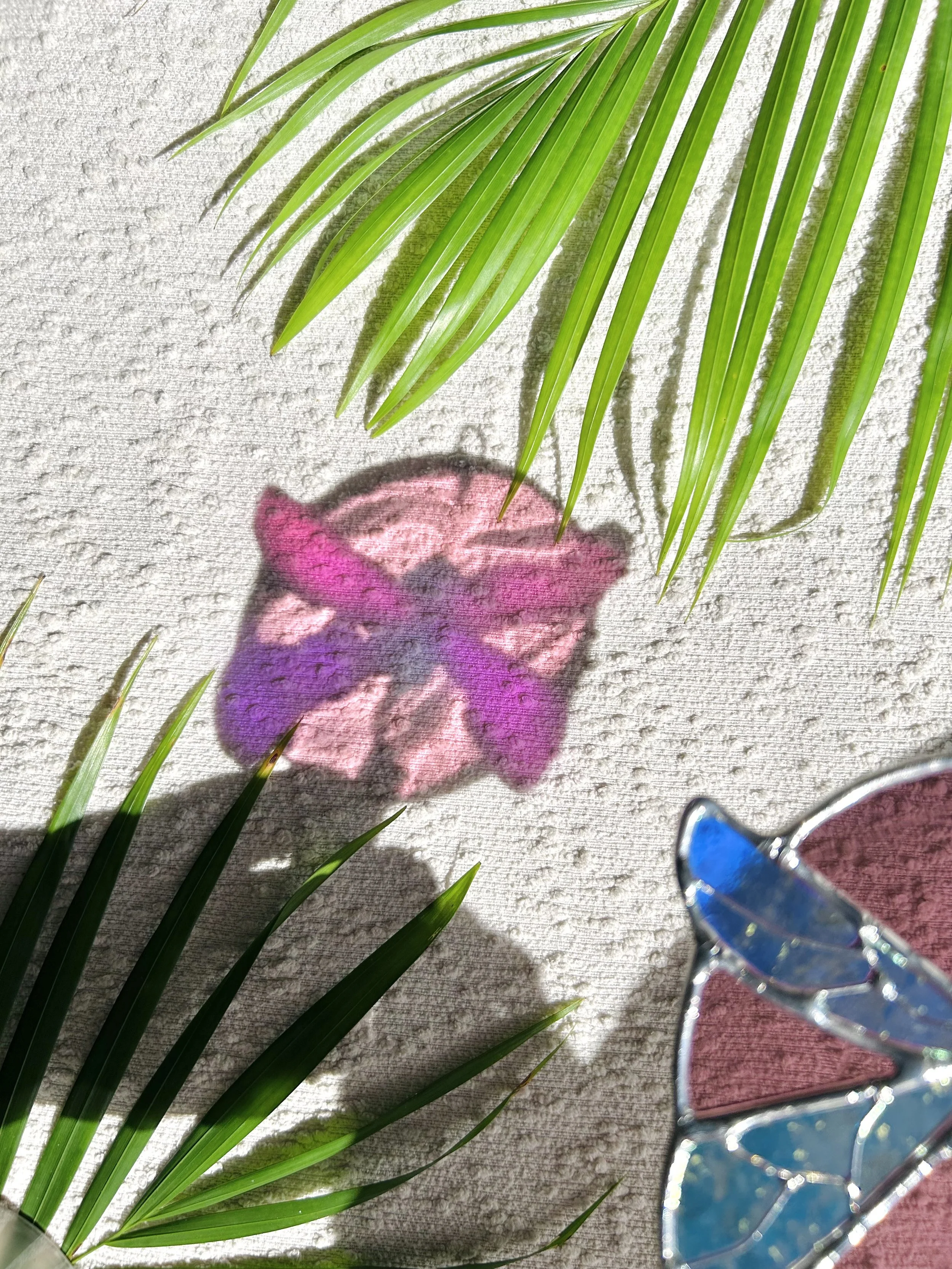 dicrhoic dragonfly4.jpeg