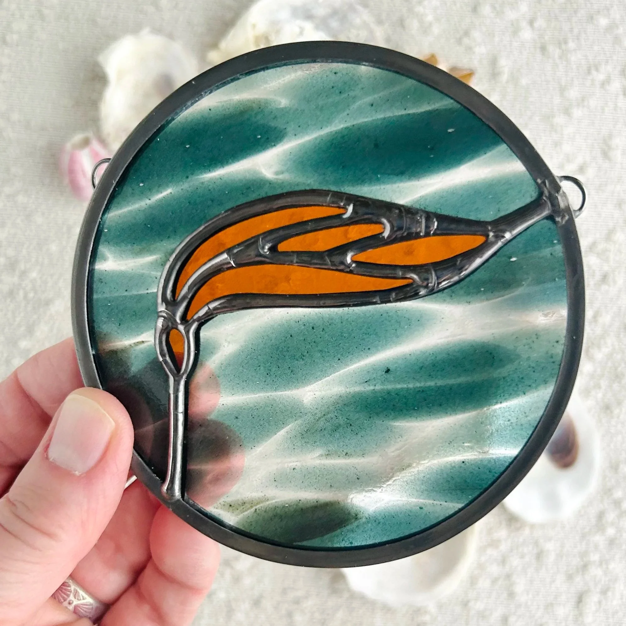 baby+bull+kelp+sun+catcher+9.jpg