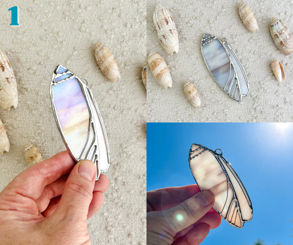 olive shell - march birth shell(5).png