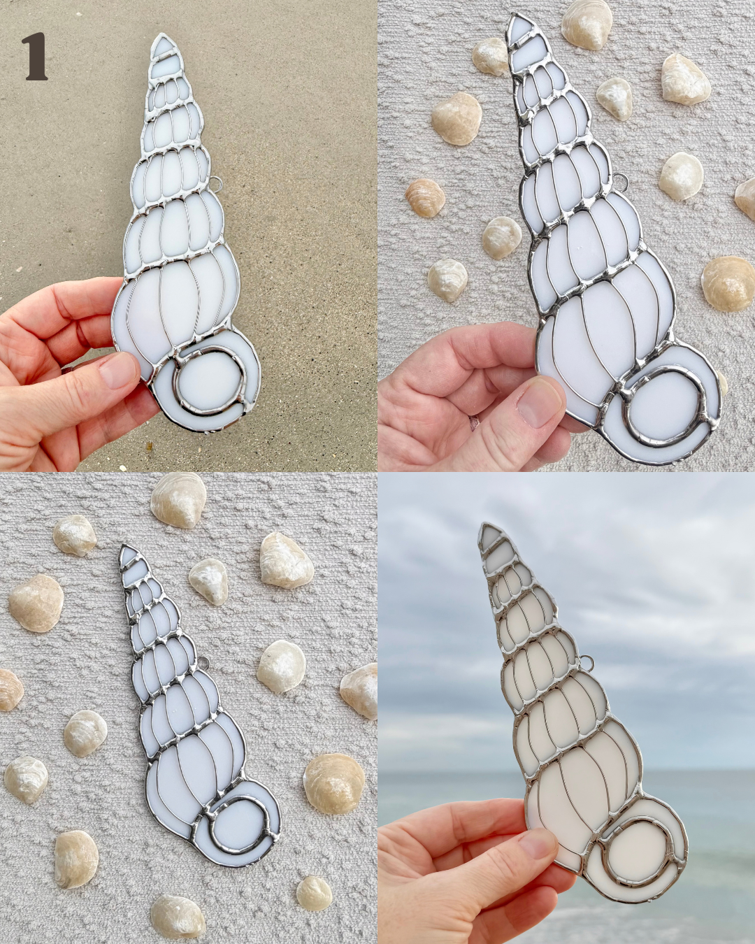 wentletrap april birth shell(2).png