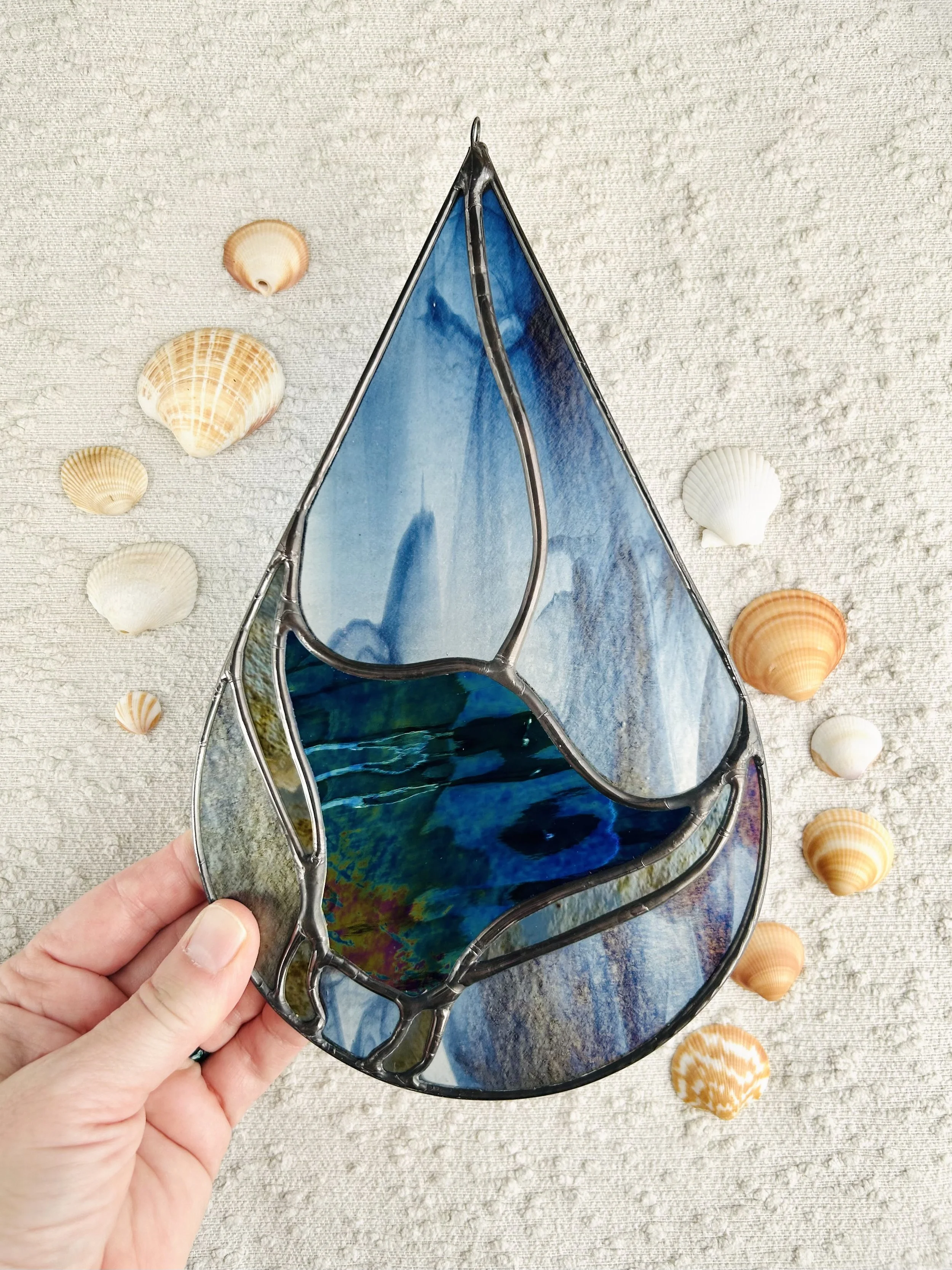 manta swish_oct201516.jpg