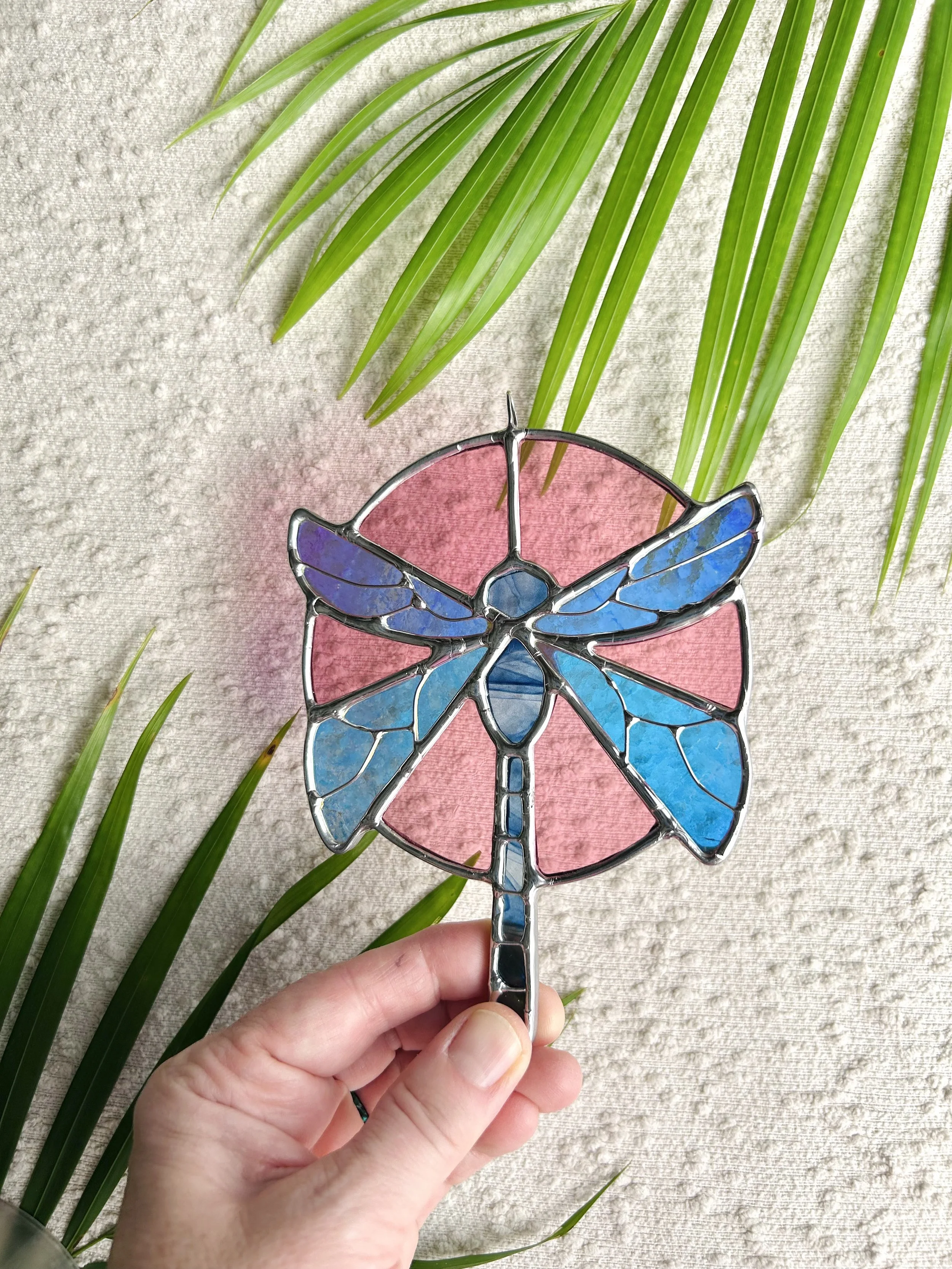 dicrhoic dragonfly3.jpeg