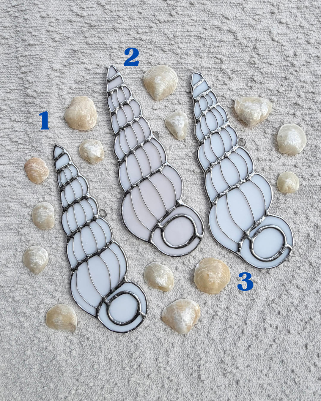 wentletrap april birth shells.png