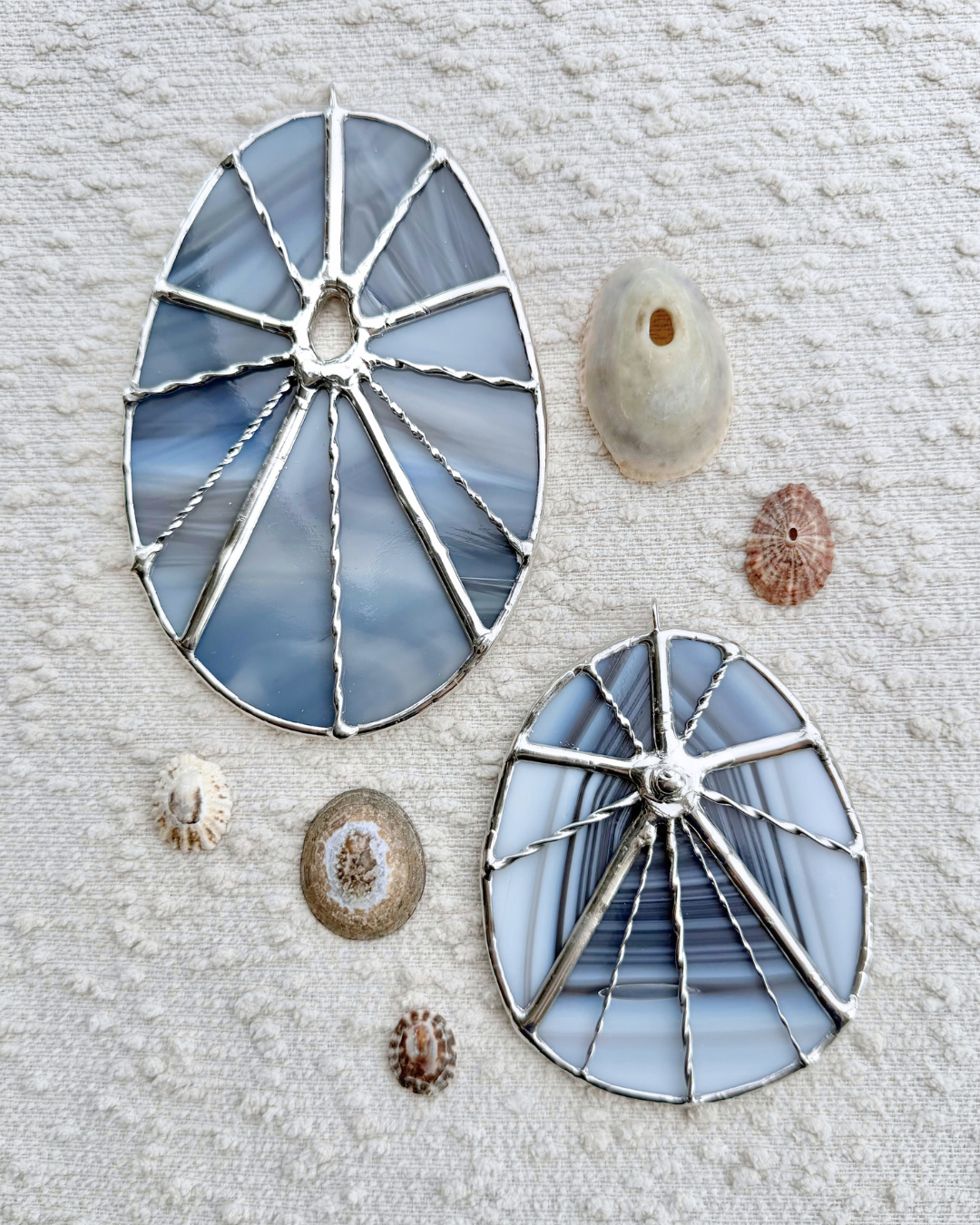 limpet septemer birth shell.png