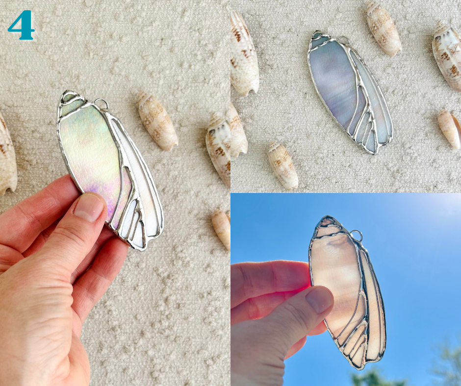 olive shell - march birth shell(8).png