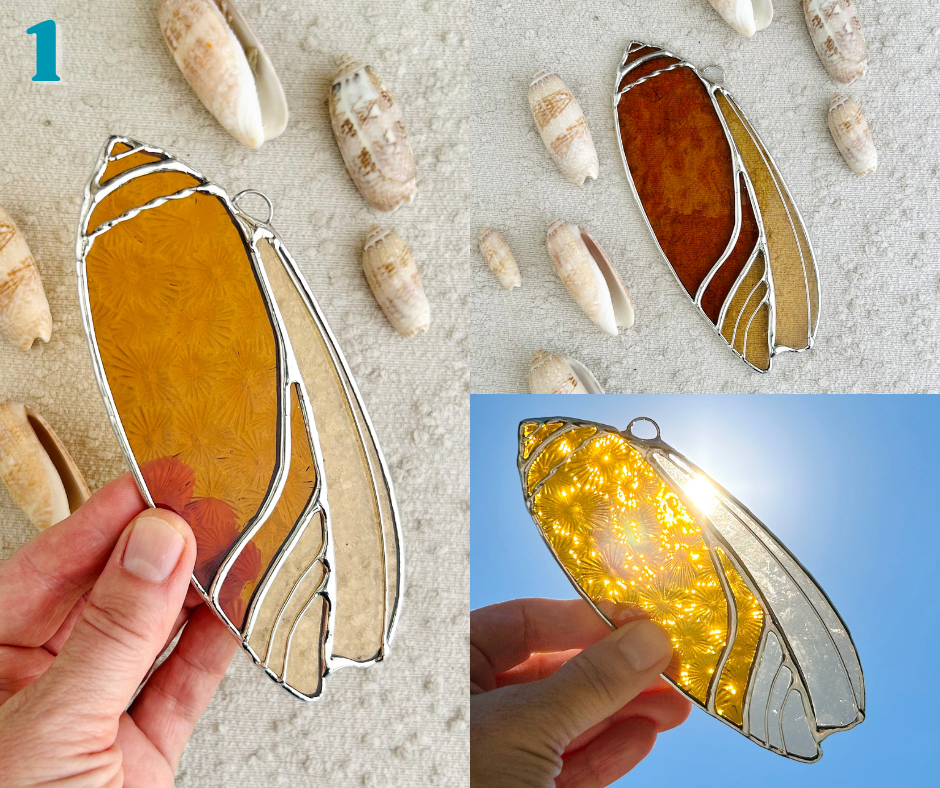 olive shell - march birth shell(2).png