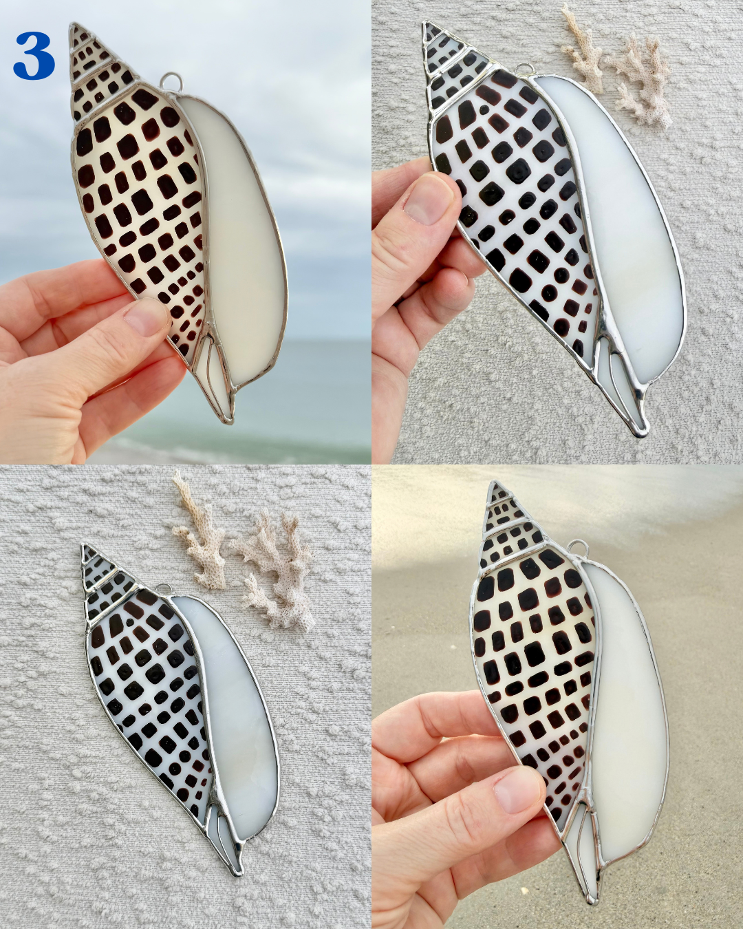 junonia may birth shell(2).png