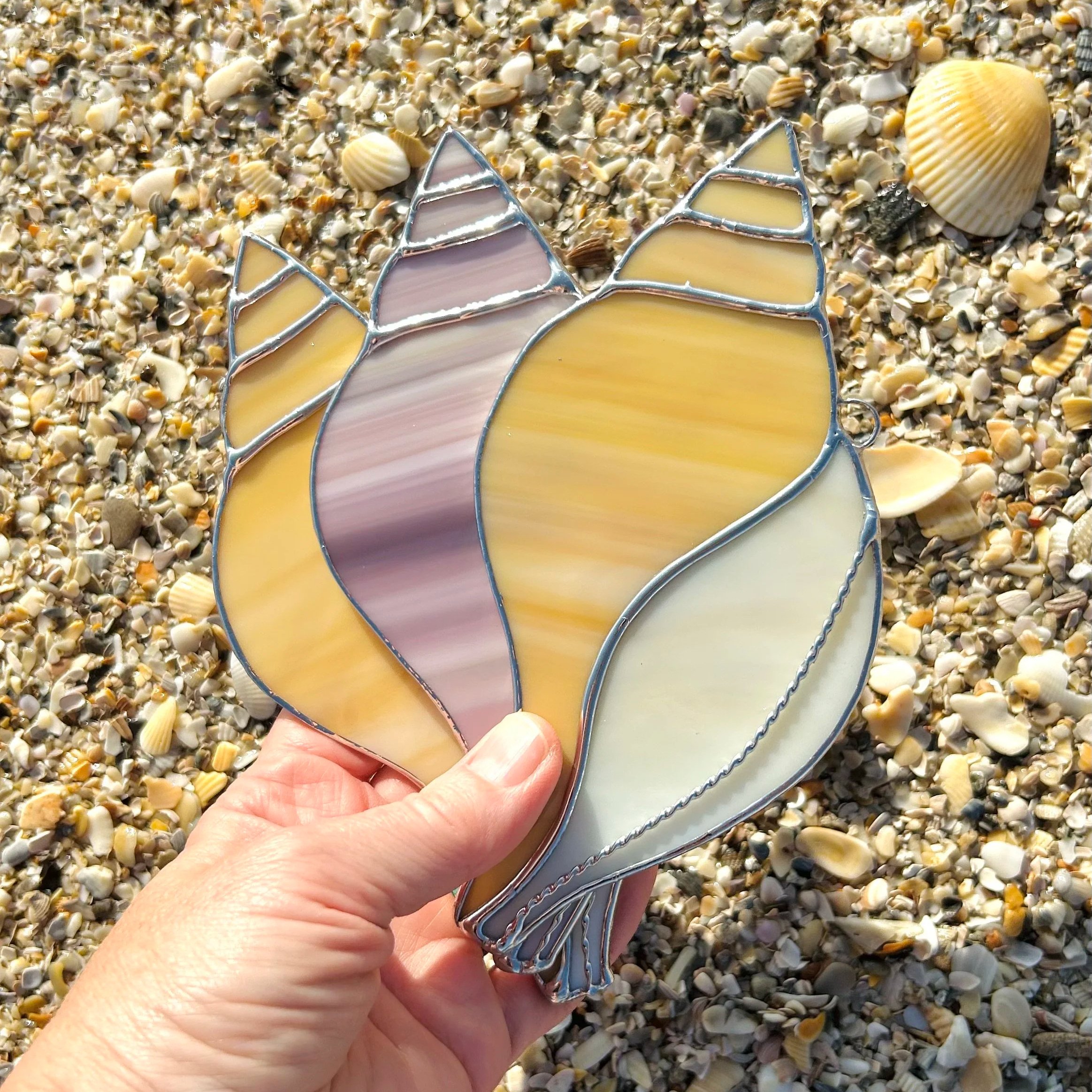 large tulip shell // february birth shell