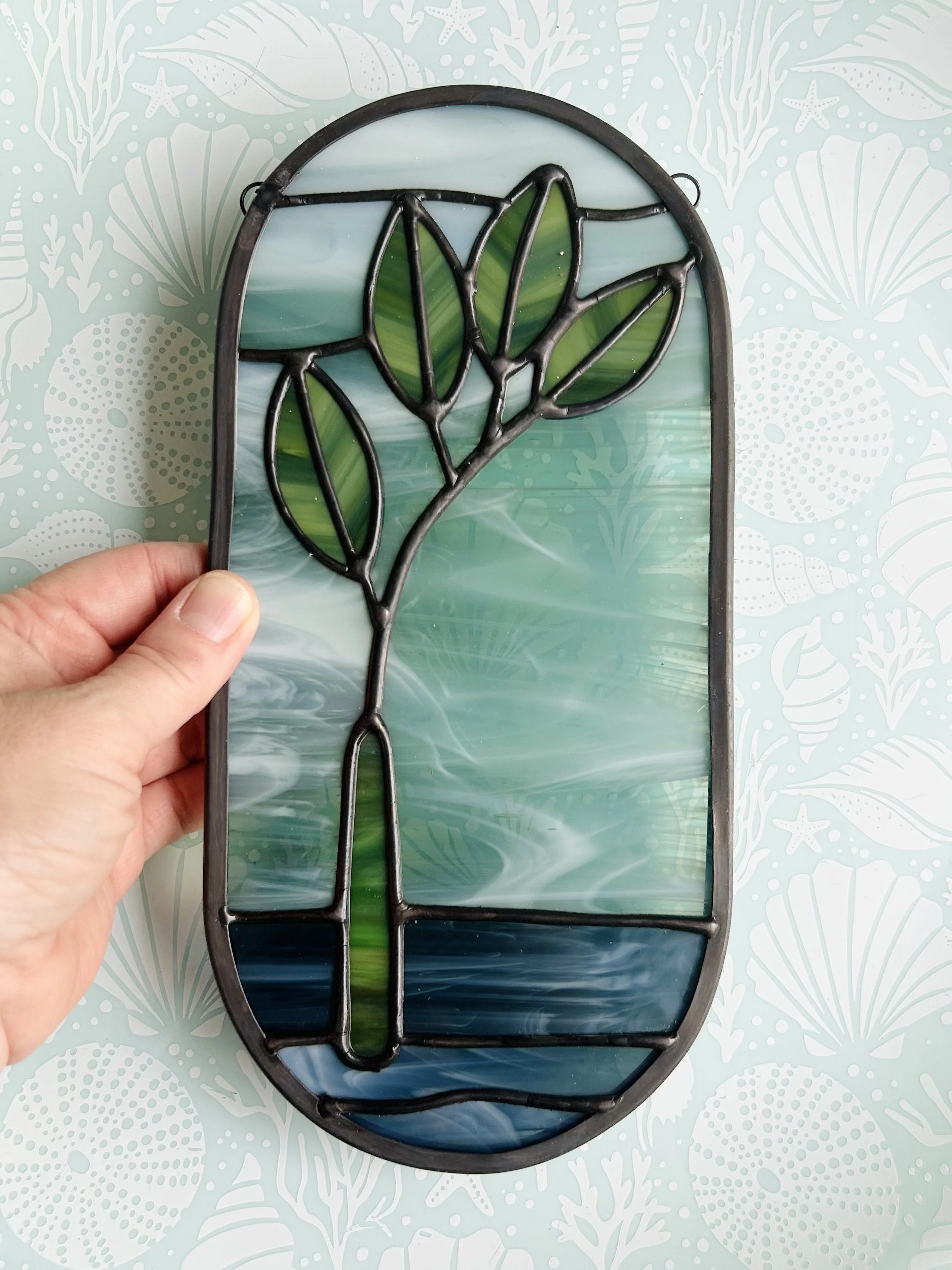 mangrove propagule.jpeg