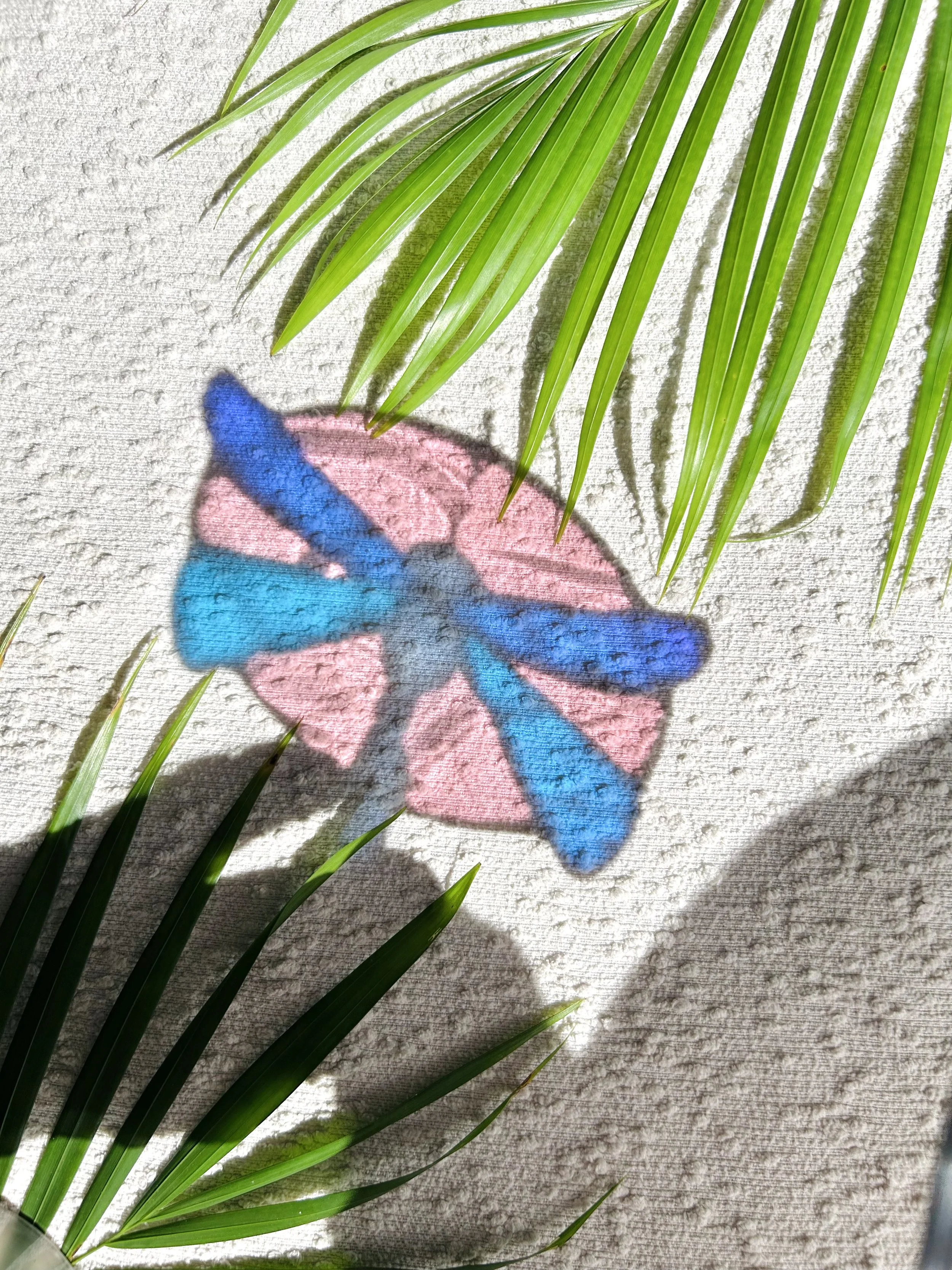 dicrhoic dragonfly5.jpeg