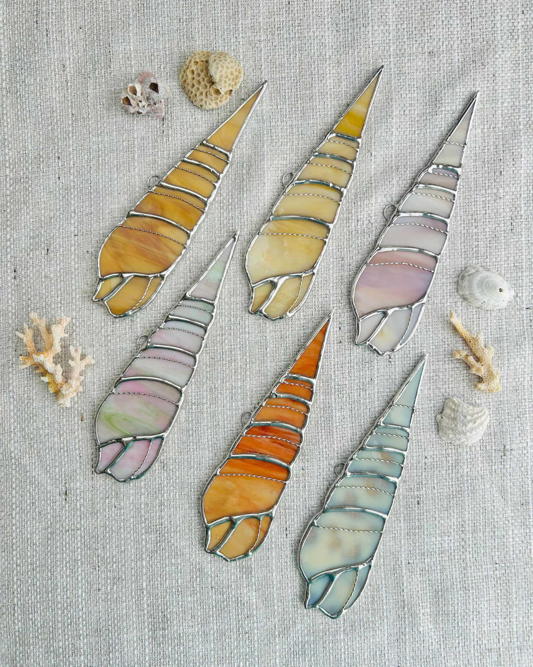 auger shell // january birth shell