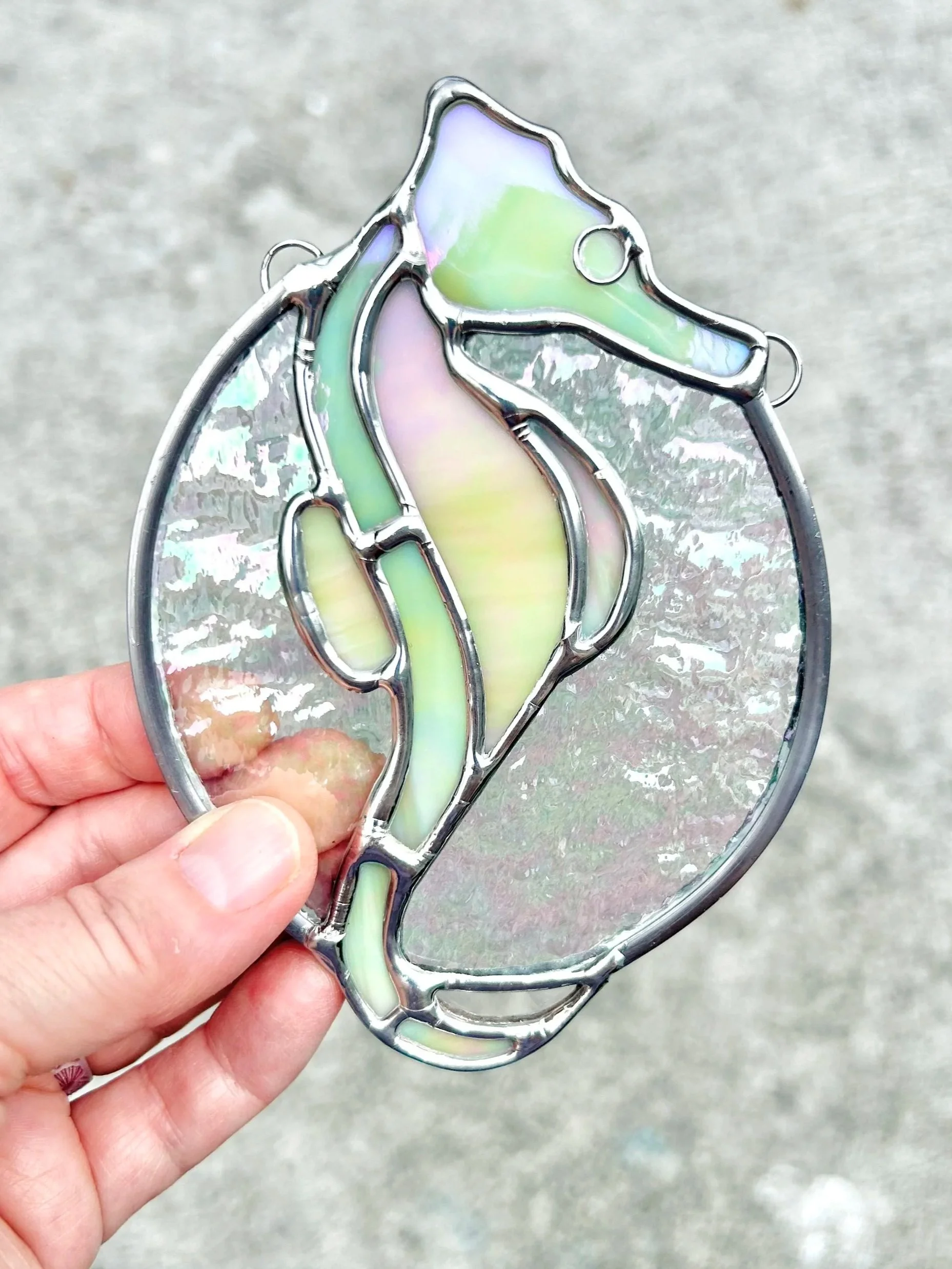 seahorse5.jpg