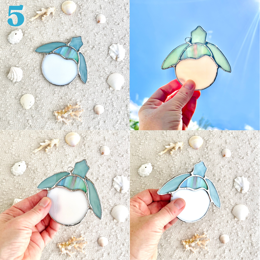 sea turtle hatchling(6).png