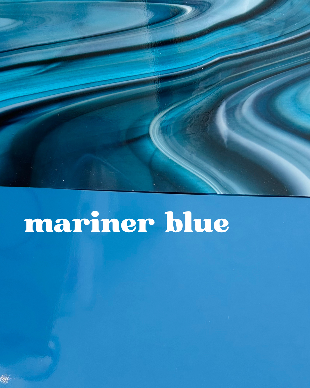 whale shark pre order(1).png