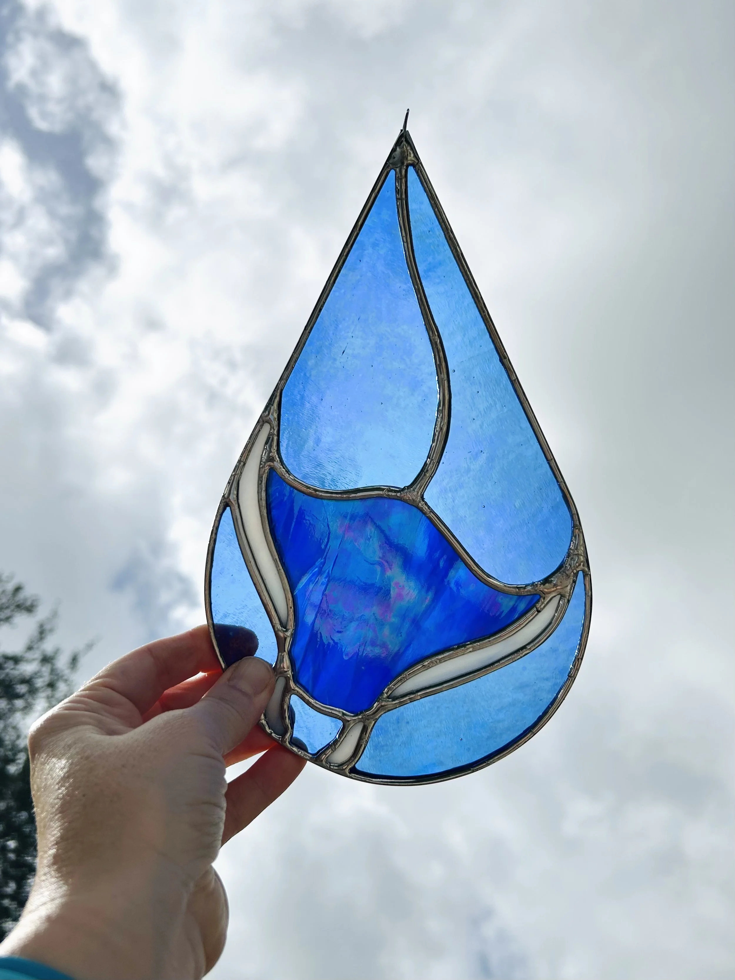 manta swish_oct201519.jpg