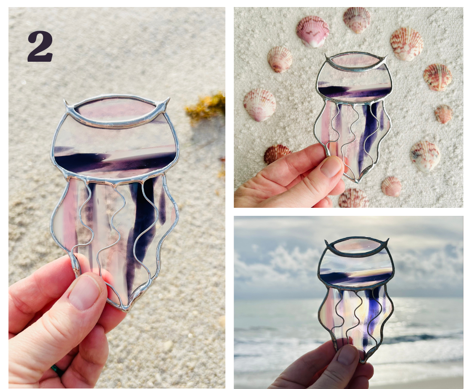 jellyfish+2.png
