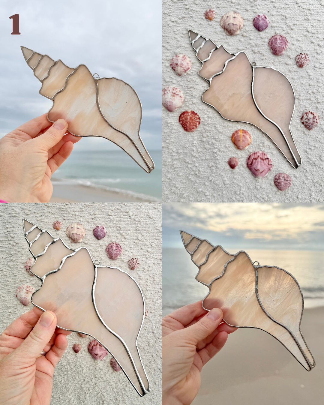 horse conch shell.png