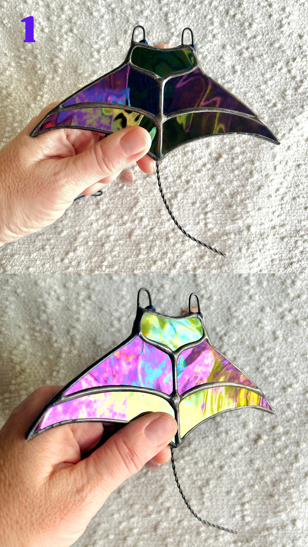 manta ray.png