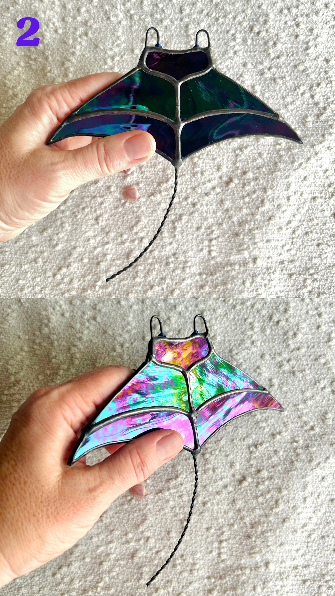 manta ray(1).png