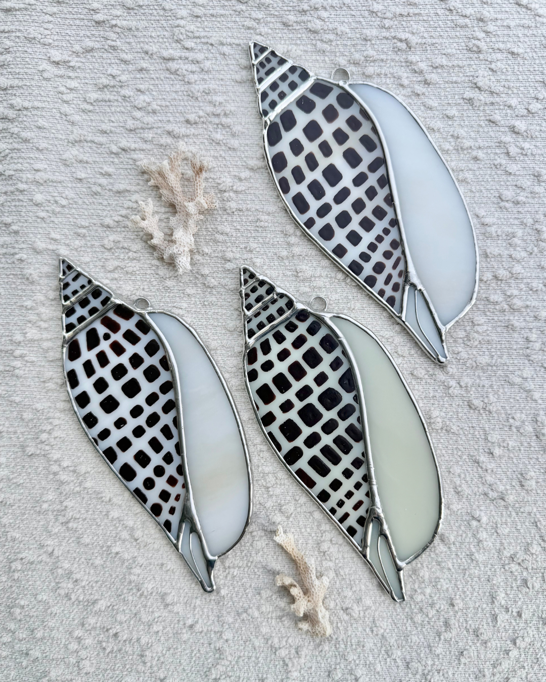junonia may birth shells.png