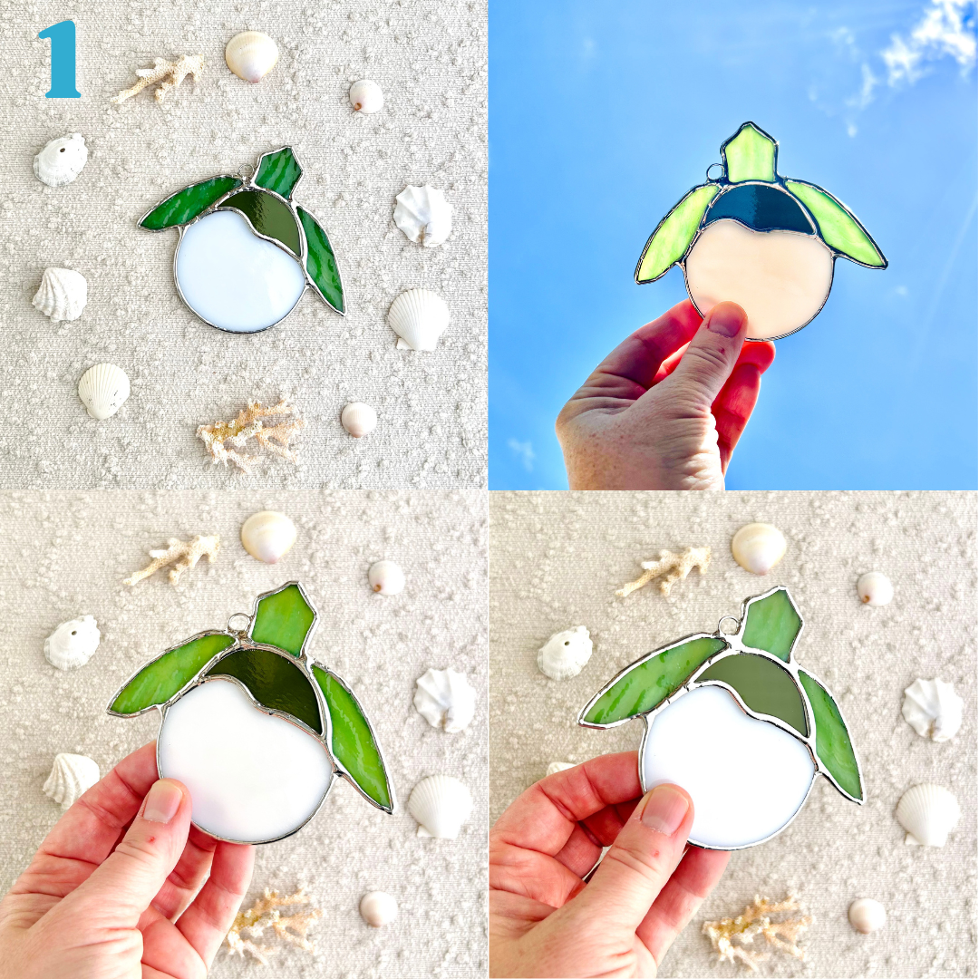 sea turtle hatchling(2).png