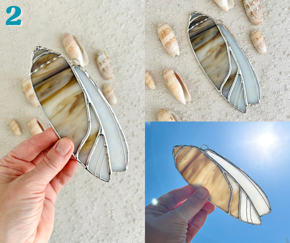 olive shell - march birth shell(1).png