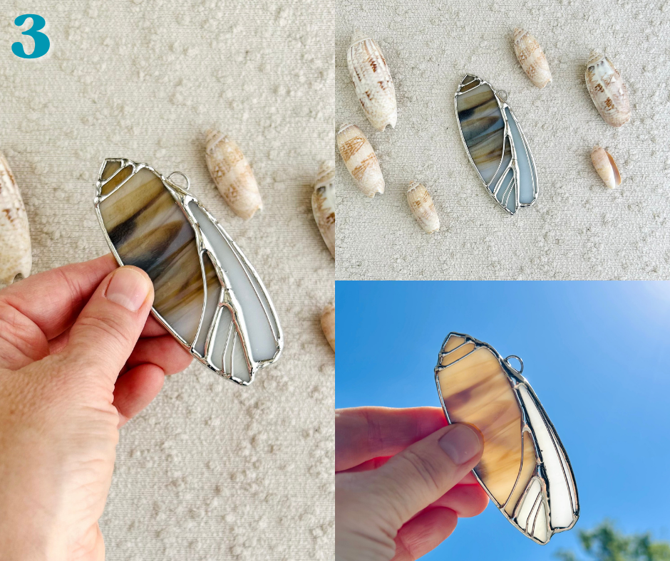 olive shell - march birth shell(7).png