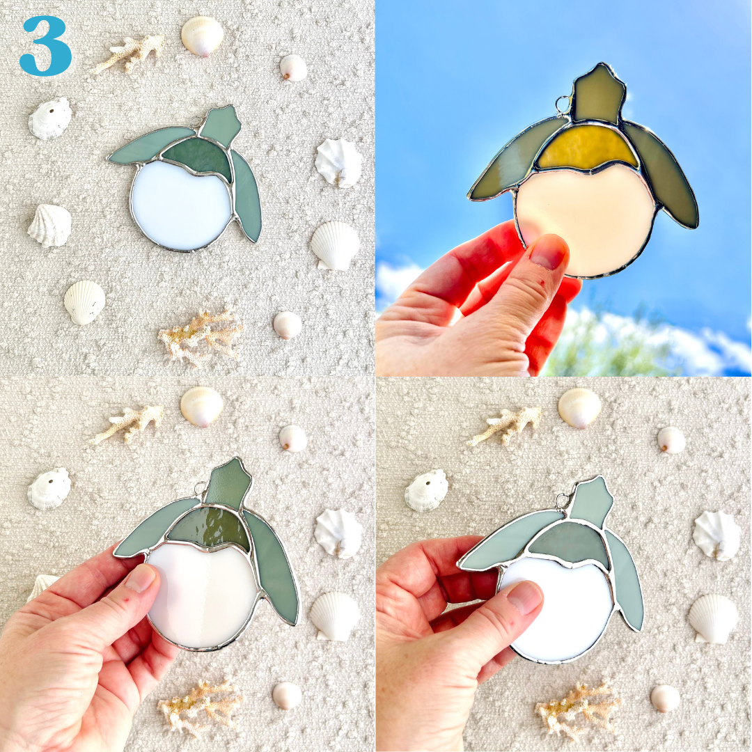 sea turtle hatchling(4).png