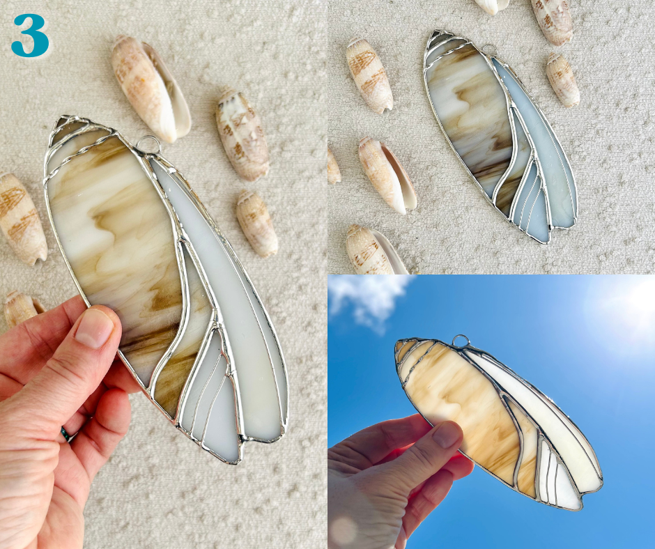 olive shell - march birth shell(3).png