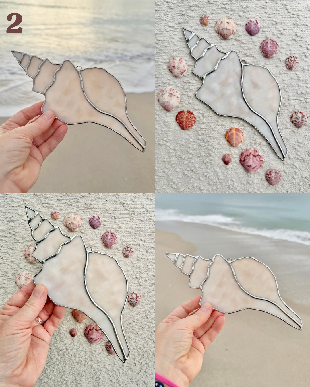 horse conch shell(1).png