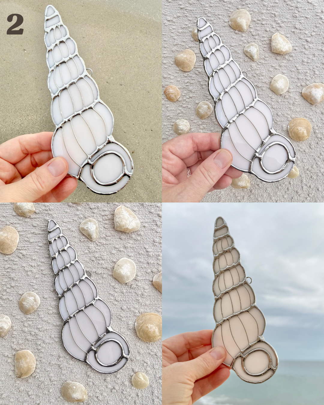wentletrap april birth shell(1).png