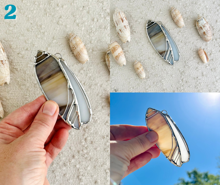 olive shell - march birth shell(6).png