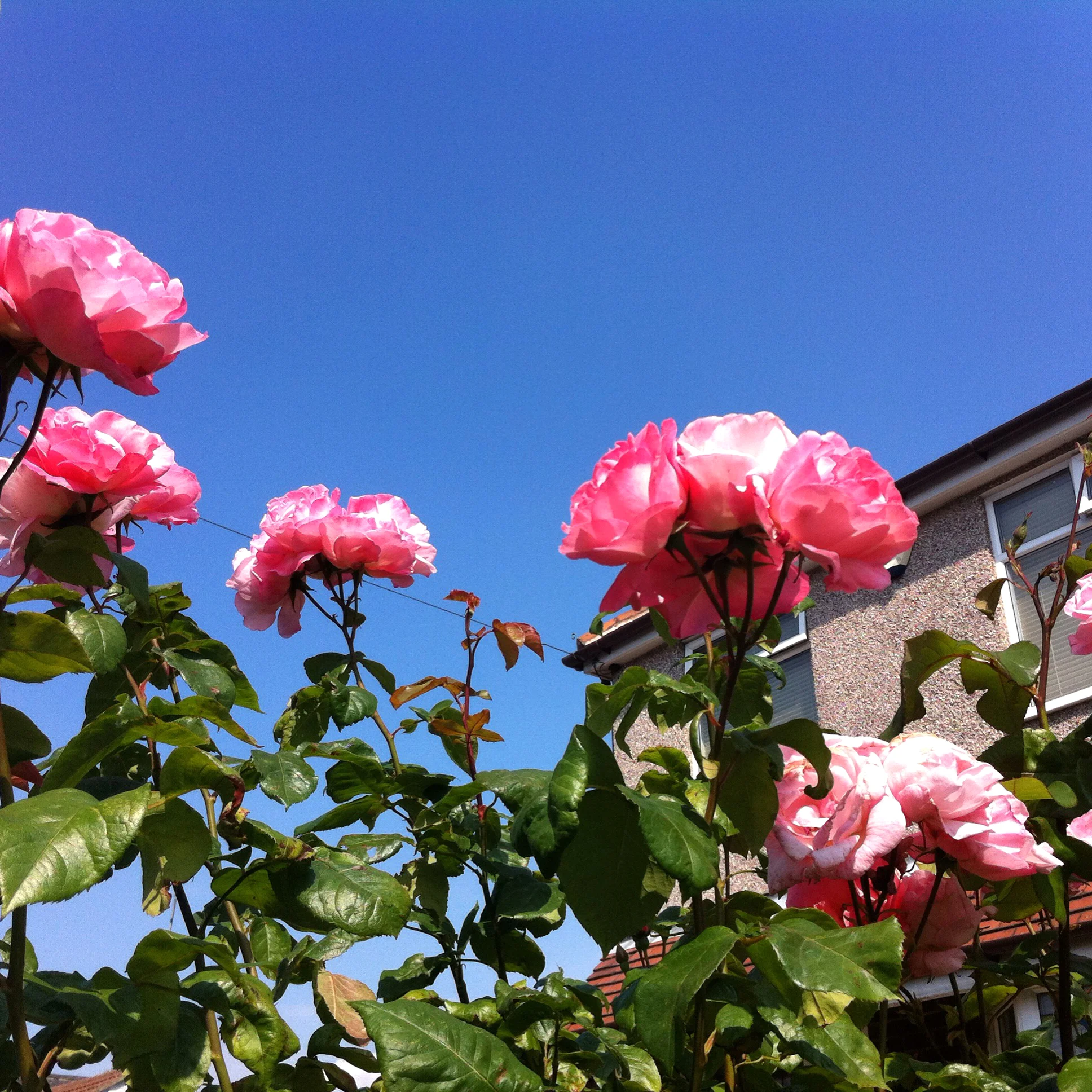 2014-06-22 10.10.08.jpg
