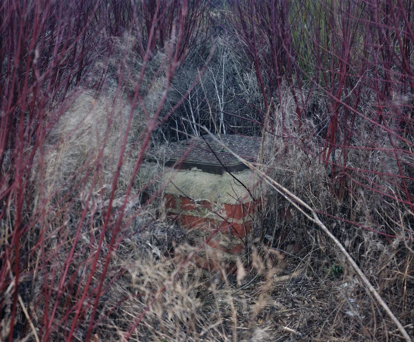 webdrain pink.jpg