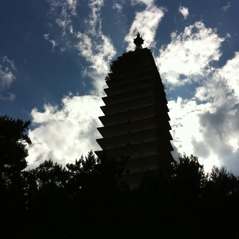 webIMG_0777.jpg