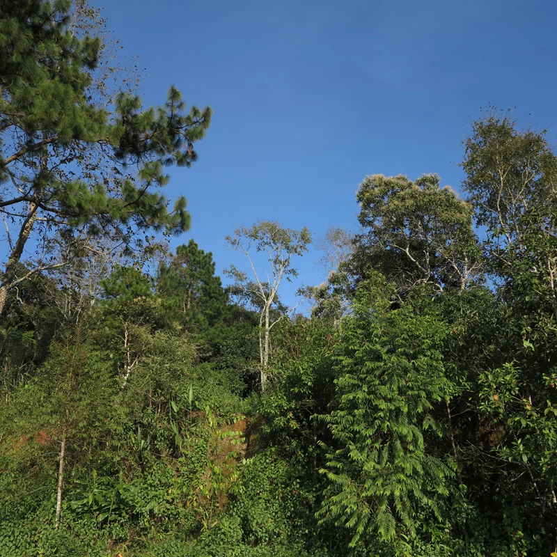 webIMG_1454.jpg