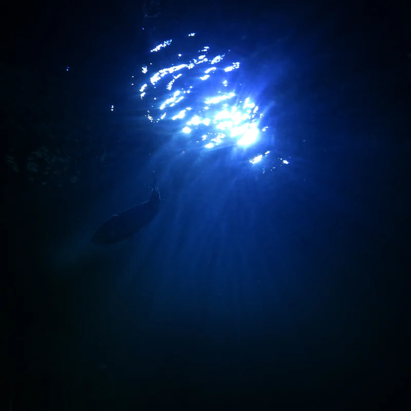 webIMG_0780.jpg